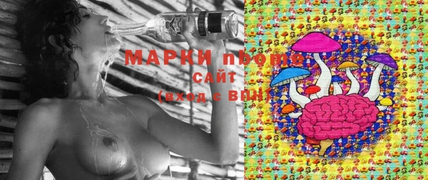 дмт Билибино
