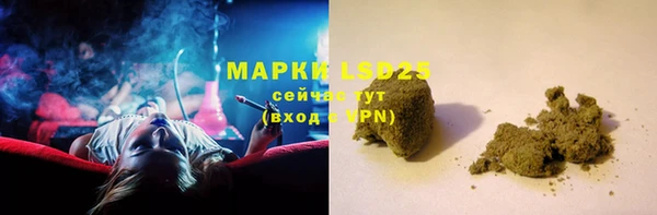 гидра Абаза