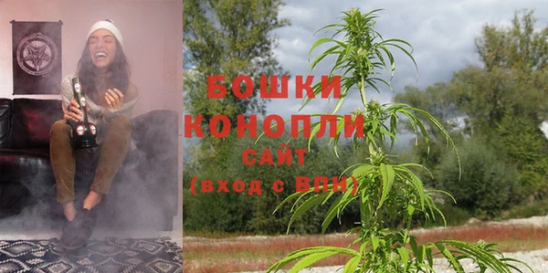 гидра Абаза