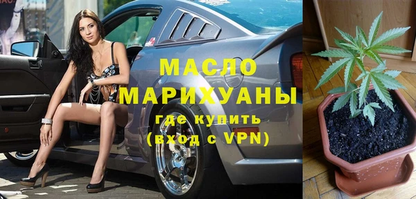 гидра Абаза