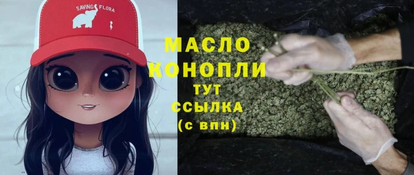 дмт Билибино