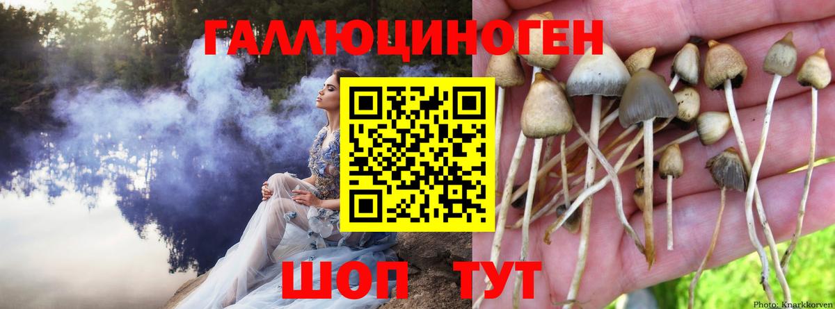 Галлюциногенные грибы Psilocybine cubensis  Вход с VPN  Галлюциногенные грибы мухоморы  Карталы 